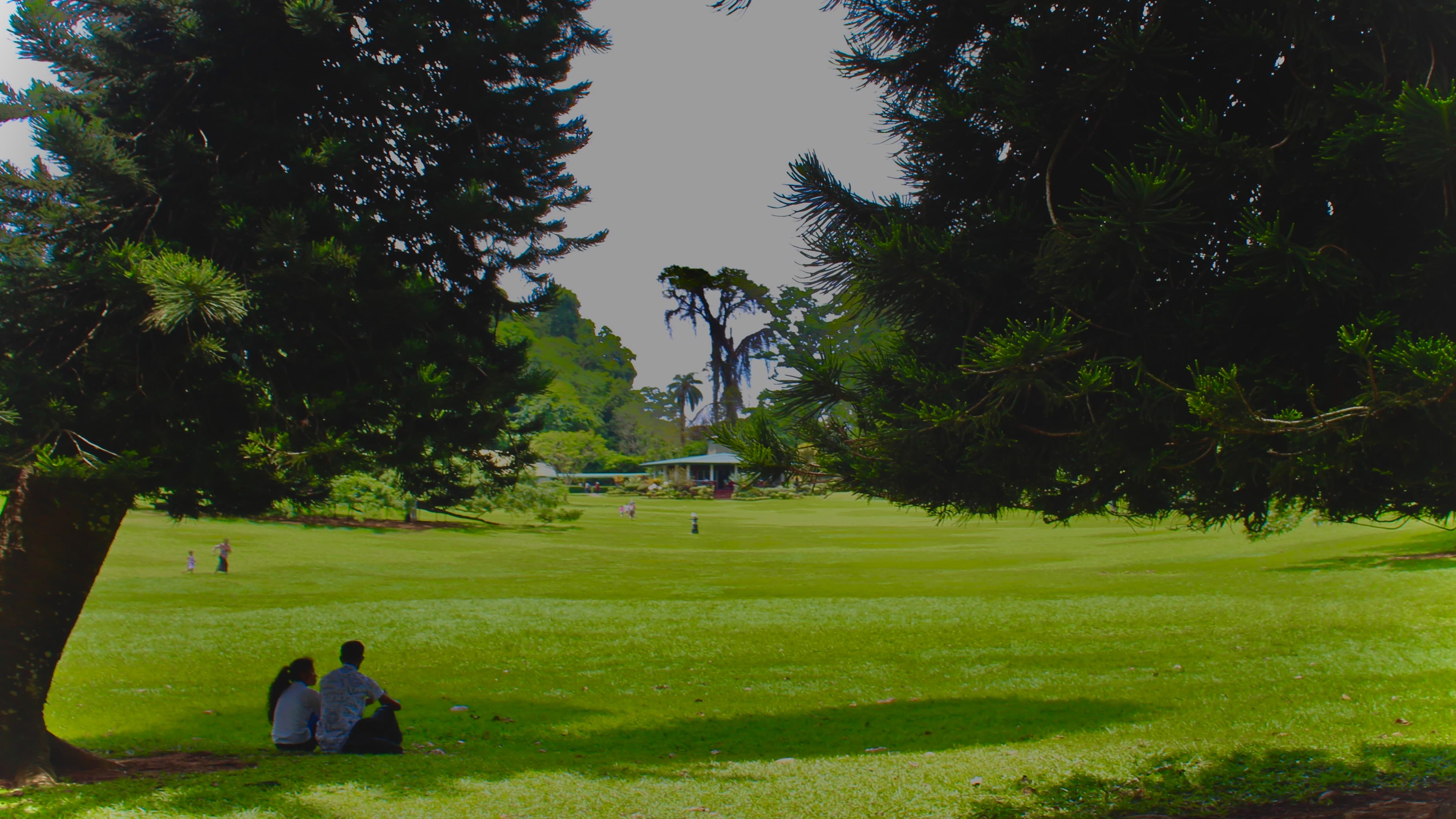 Student campus life